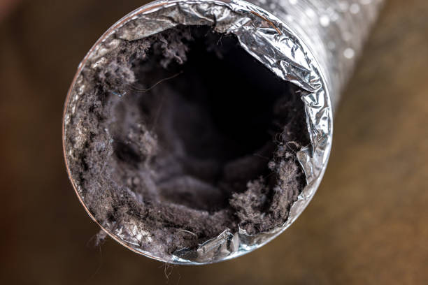 Best Air Duct Inspection  in Enterprise, NV