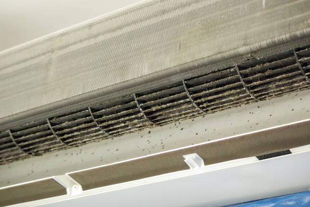 Best Commercial HVAC Duct Cleaning  in Enterprise, NV